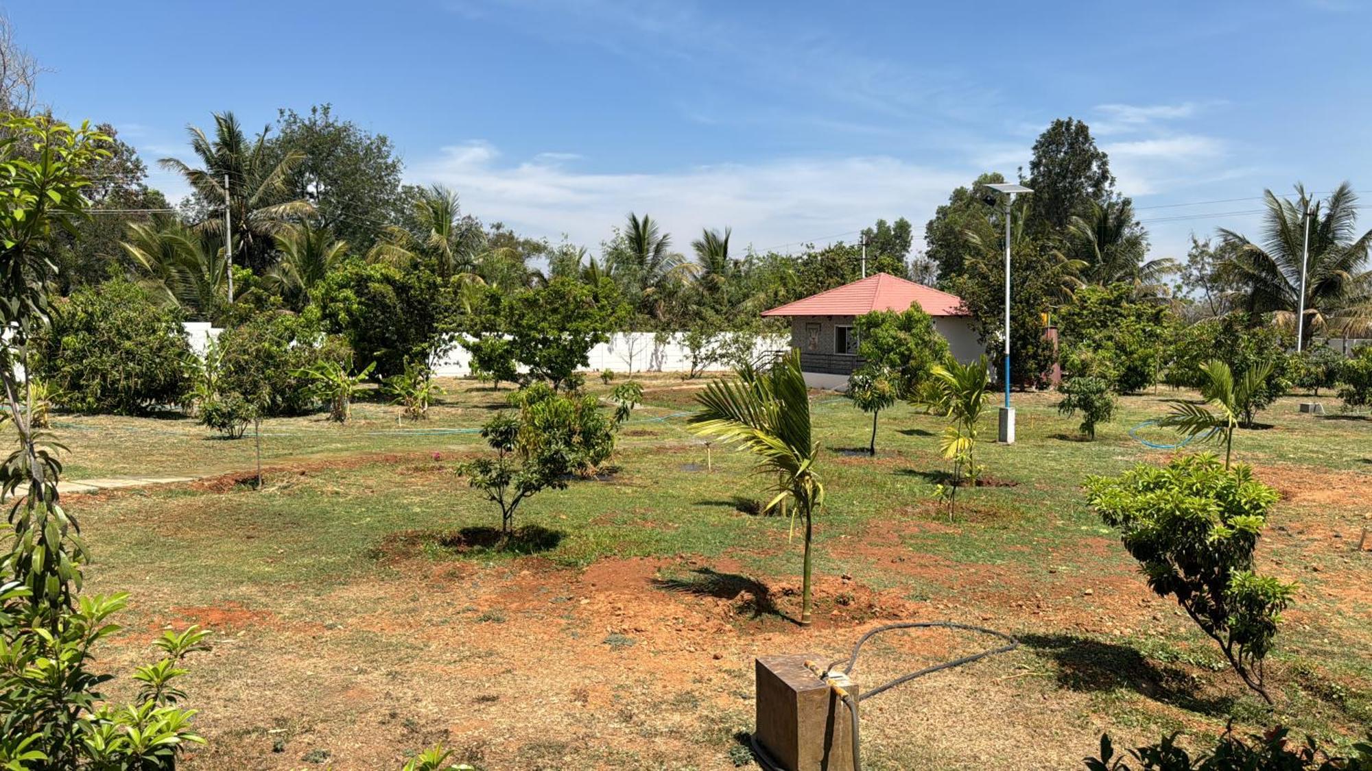 Raj Home Stay Майсуру Екстер'єр фото